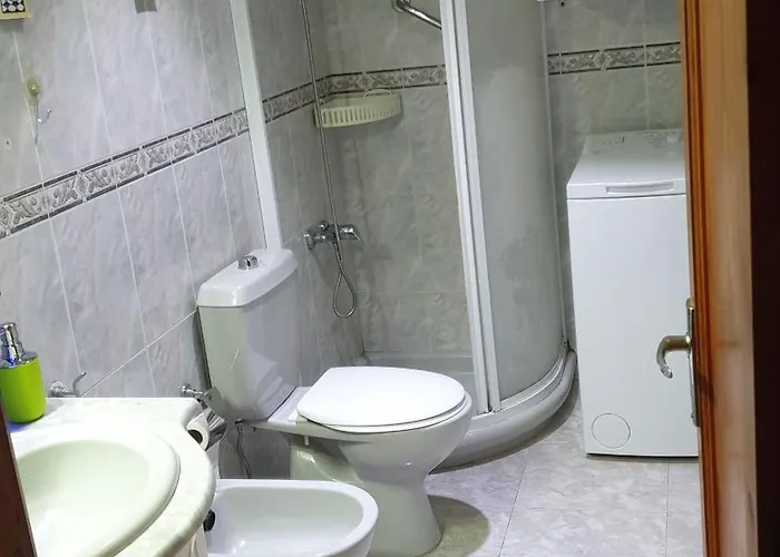 Cica 라스팔마스